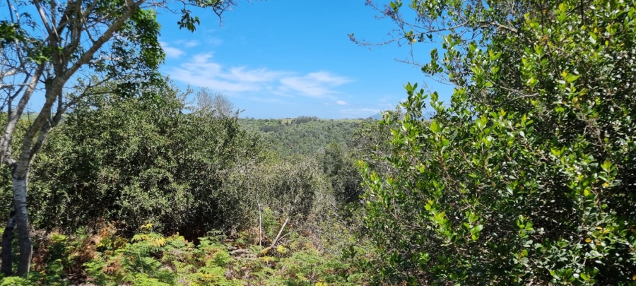  Bedroom Property for Sale in Knysna Rural Western Cape